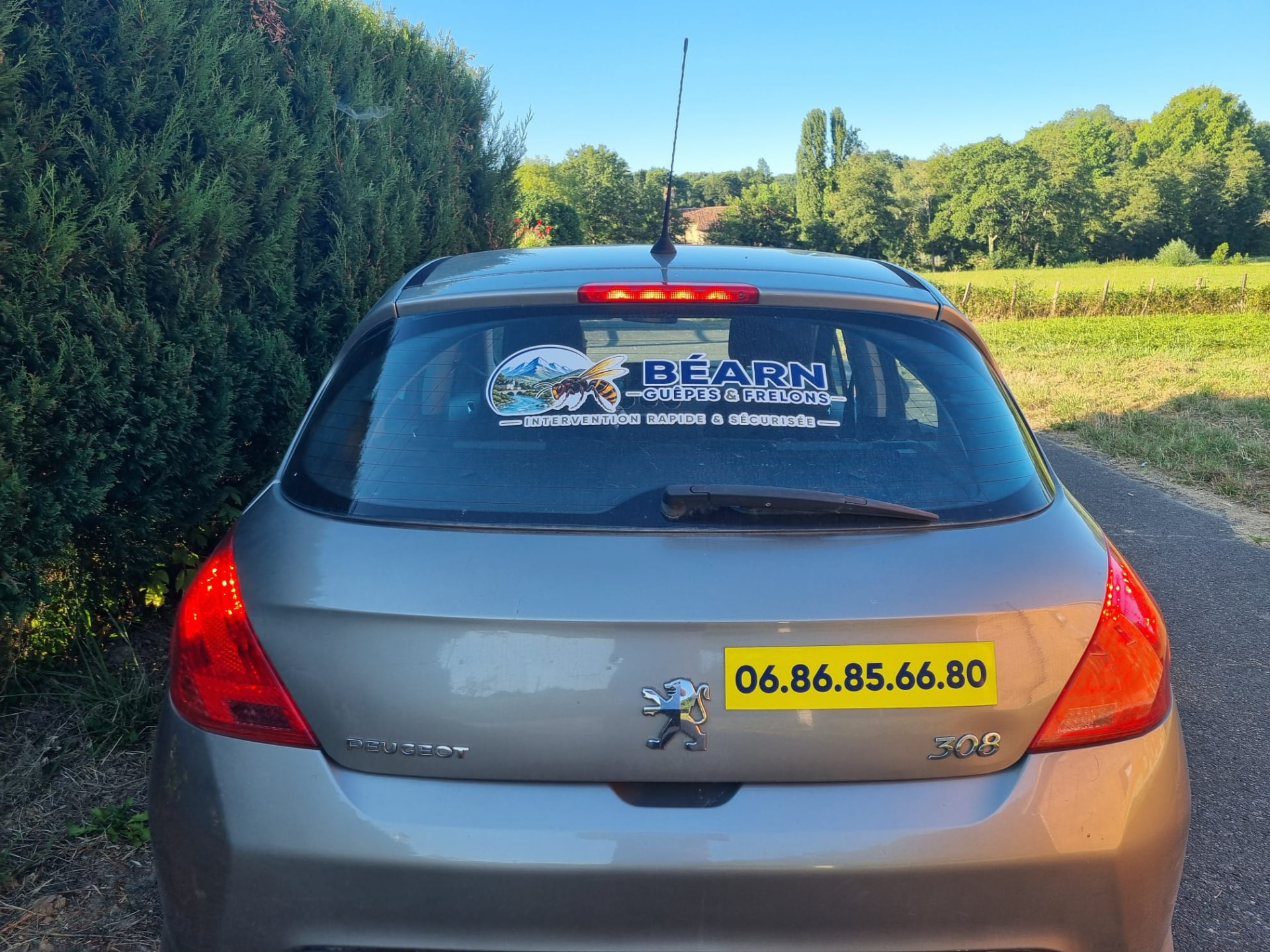 Le véhicule d'intervention de Béarn Guêpes & Frelons, une Peugeot 308 avec le logo et le numéro de téléphone collés sur la lunette arrière